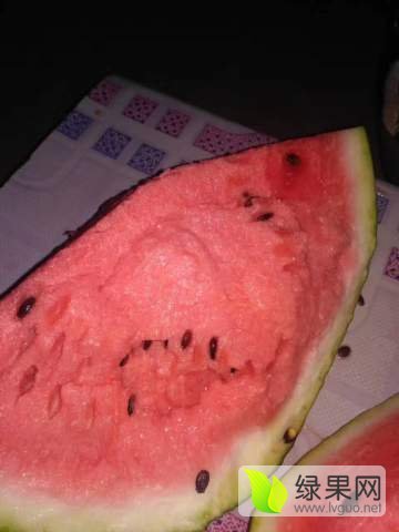 2017年辽宁新民甜王系列价格