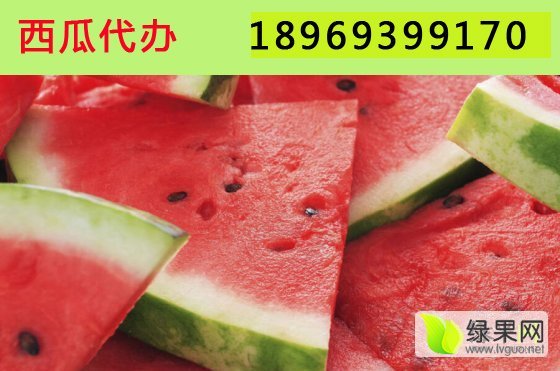 安农二号价格