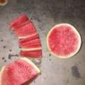 太康西瓜随行就市,芝麻刘冰诚信合作
