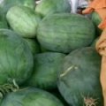 2018年河南周口开封货运龙卷凤大量上市实力合作