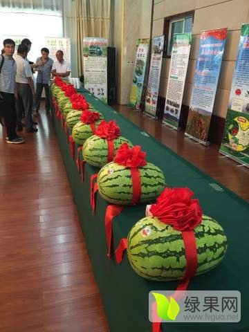 硒砂瓜价格