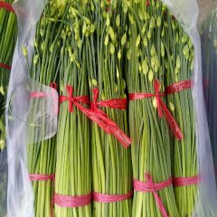 昌黎价格刘超7月韭苔