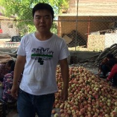 2017运城临猗蜜桃（毛桃）临猗北辛王杰