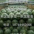 吉林双城堡长岭乾安保康西瓜代办田路诚信与你