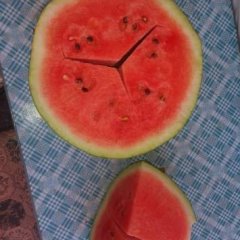 宁县西瓜刚开园西瓜，属于甘肃省山川半沙土地8斤起步0.13