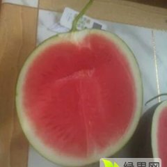 河南通许大量优质花皮无籽西瓜陆续上市
