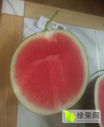 2020年河南通许花皮无籽价格