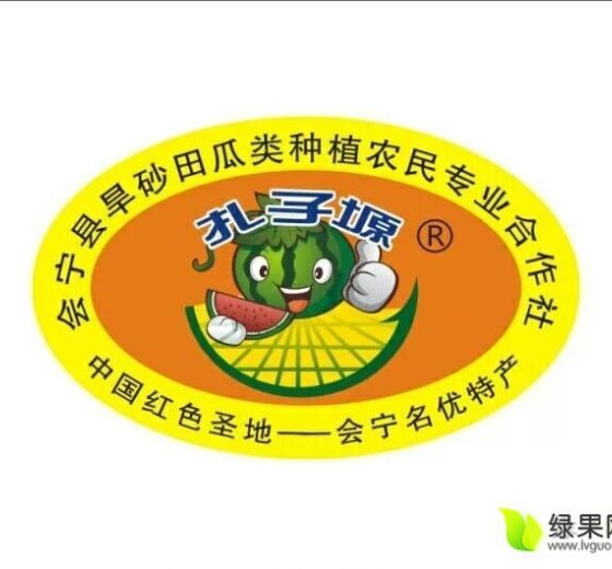 金花一号价格