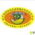 甘肃省白银市金花一号