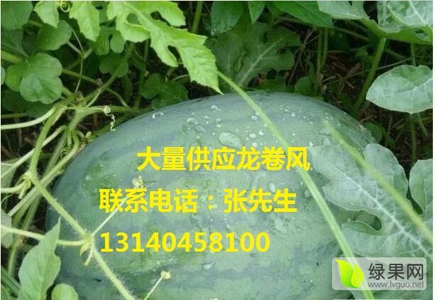 2017年河南通许龙卷风价格