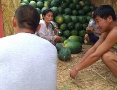 通许境内西瓜已经大量上市，品种齐全