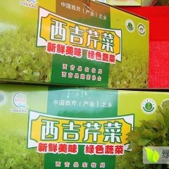 宁夏固原西吉县芹菜正式上市