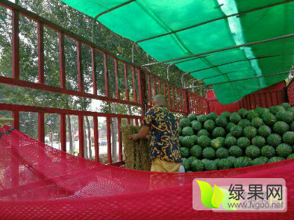 2017年山西忻府硒砂瓜价格