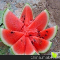 公主岭怀德王长海诚信代办