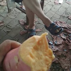 河北省衡水市饶阳县龙署九号红薯