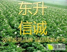 公主岭全境东升信诚农贸7月全部品种土豆
