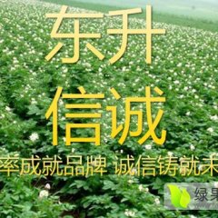 公主岭全境东升信诚农贸7月全部品种土豆