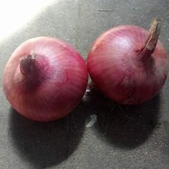 山东安丘红皮洋葱，个头选级