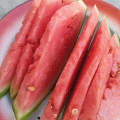 一年一度得美丽硒砂瓜又要和大家见面