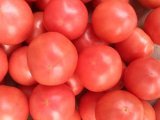 宁城西红柿品种以赛丽为住，果型好