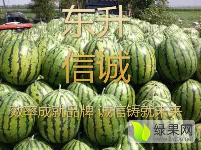 地雷瓜价格