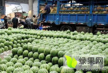 2017年山西忻府西农6号，威龙价格