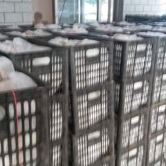 河北泊头大量供应各种莫袋纸袋皇冠梨
