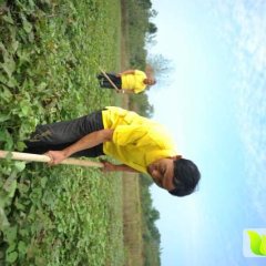 红薯唯一地标产品----“薯说”高端红安苕