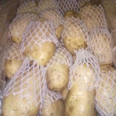 商都土豆品种齐全有夏波蒂，克新