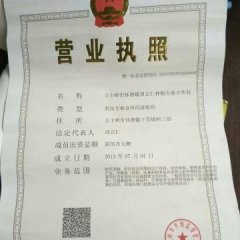 公主岭市怀德镇种植专业合作社现出售大量土豆