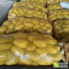 元宝山区荷兰十五三两通天包上车0.55