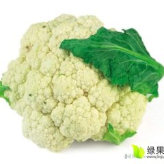 河北尚义白面青梗松花菜菜花产销两旺