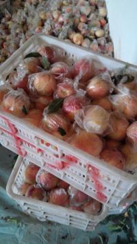 陕西大荔毛桃大量上市，毛桃品种多