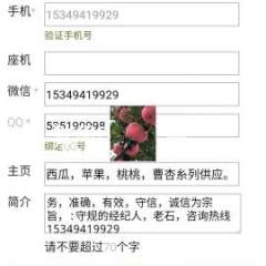 宁县西瓜有金城5号，金花1号等