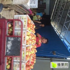 2020年临猗美八苹果著名品牌北辛乡王杰