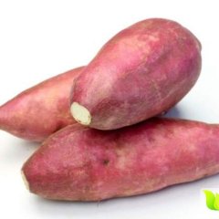 霸州红薯 本人拥有良好平台，大量供应各种红薯