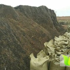 亲爱的农民朋友们：您们好，我司长期出售鸡粪