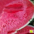 奈曼旗西瓜诚意代办,朝古郑海波诚信合作
