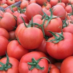 费县鸿鑫源果蔬合作社