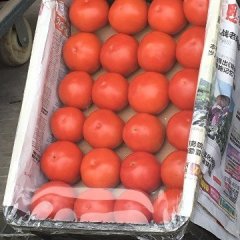 湖北长阳货，硬果，销量不错