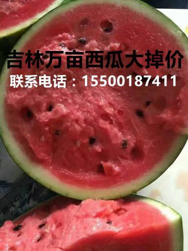 地雷瓜价格