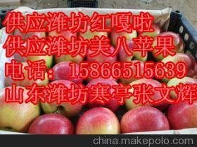 山东潍坊美八苹果产地
