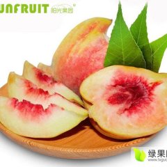 开远鹰嘴桃是云南省的温带特色水果