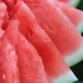 河南通许8424西瓜价格行情平稳