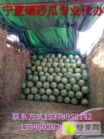 硒砂瓜价格