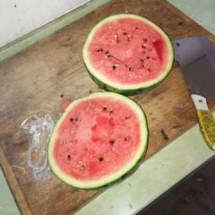 2017定边西瓜 贴定边白泥井西瓜商标