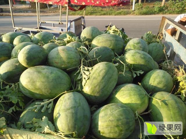 2017年河南尉氏龙卷风价格