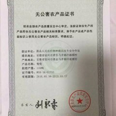 安徽萧县自古盛产葡萄