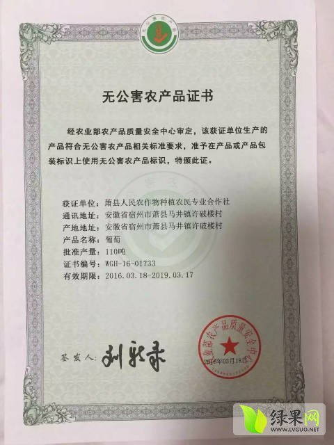 2017年安徽萧县夏黑葡萄价格