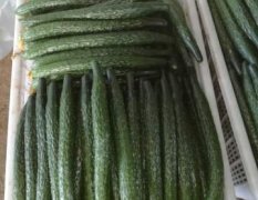 南乐黄瓜 现有数万亩瓜果蔬菜种植大棚